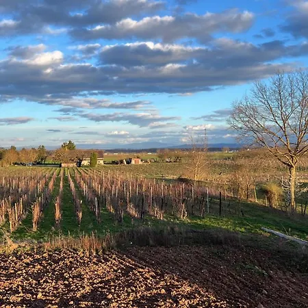 Oasis Tout Confort A Bergheim, Alsace Extérieur photo