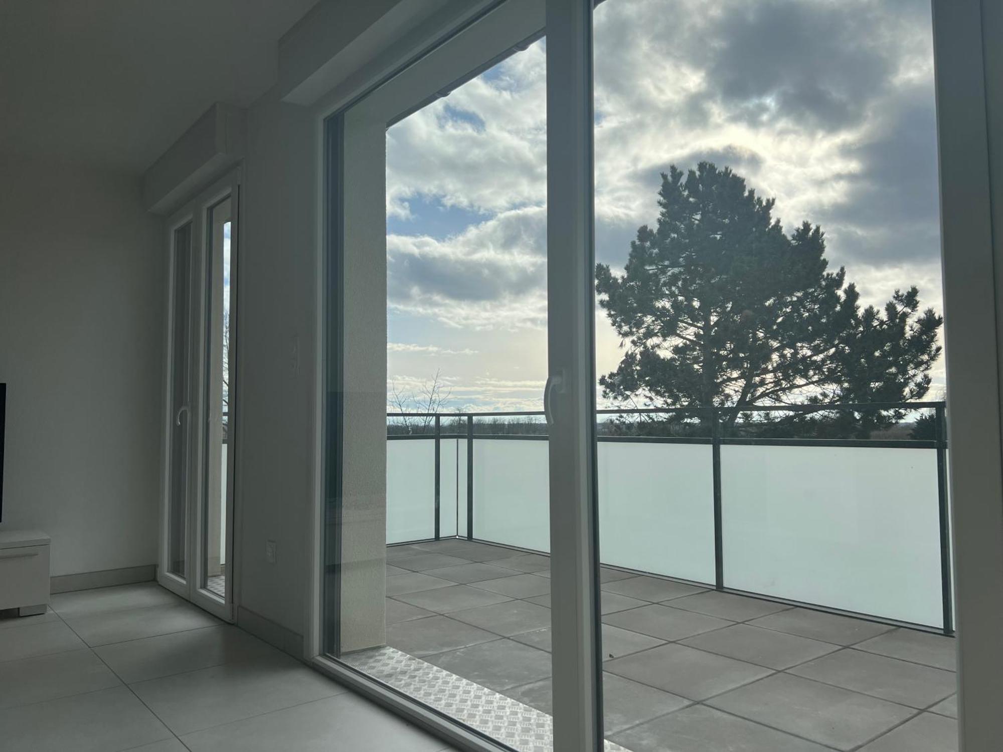 Apartment Oasis Confort A Bergheim, Alsace