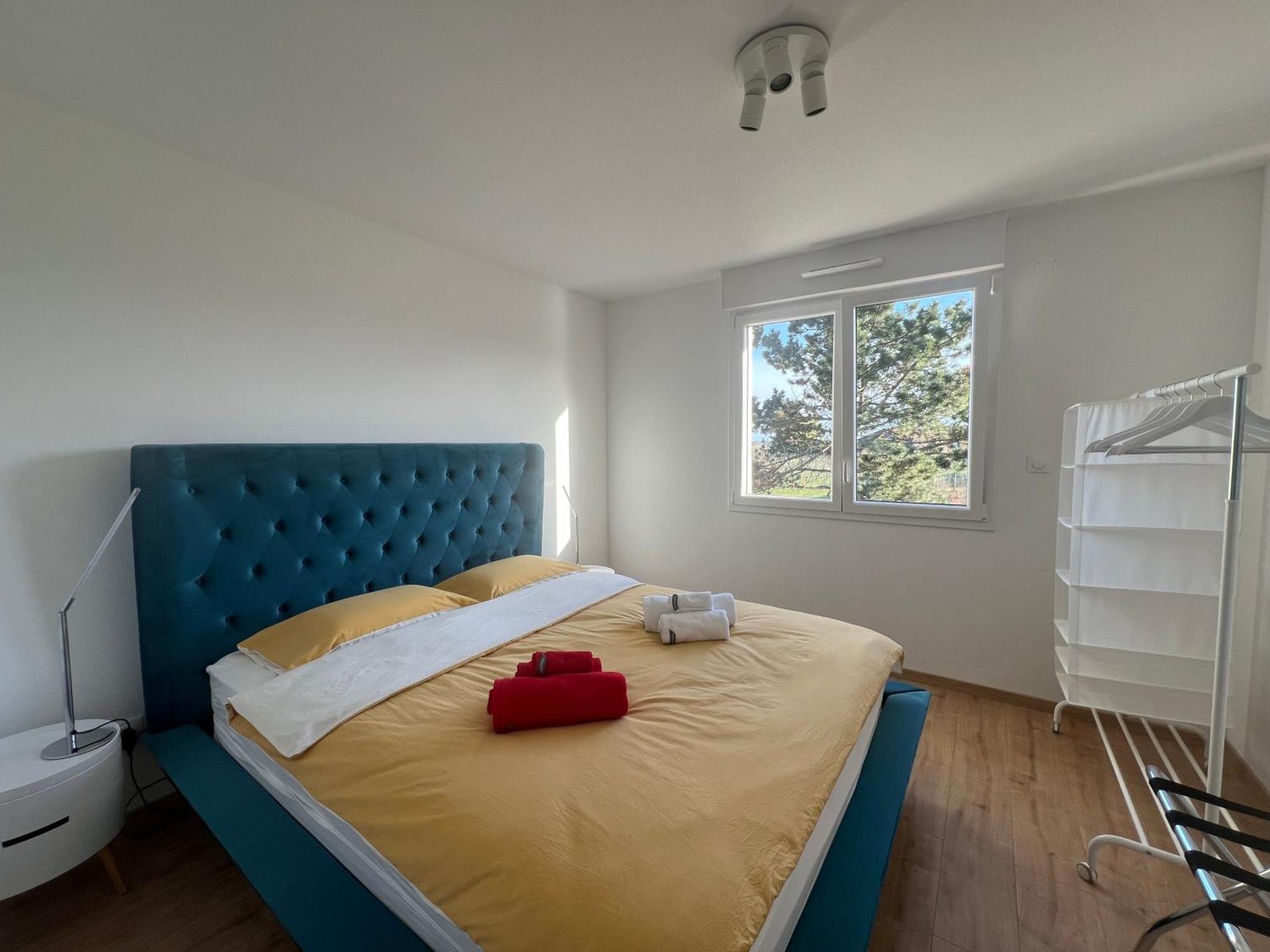 Apartment Oasis Confort A Bergheim, Alsace *