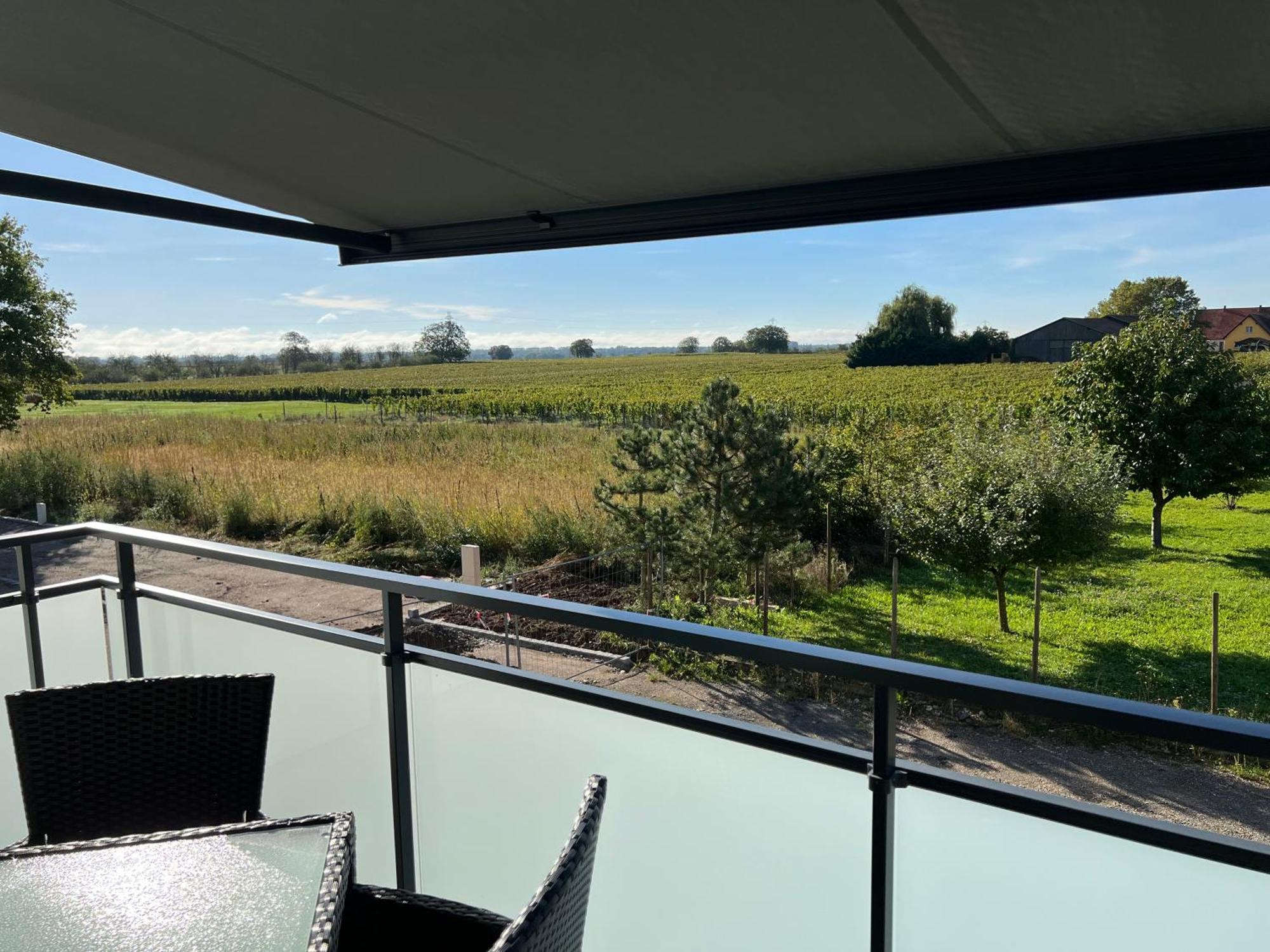 Oasis Confort A Bergheim, Alsace Bergheim